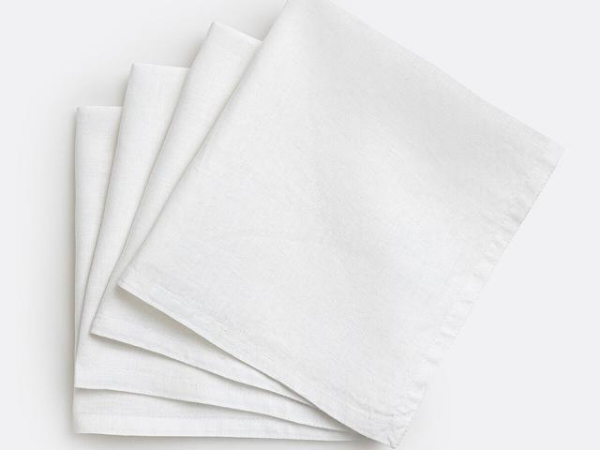 Napkin 2